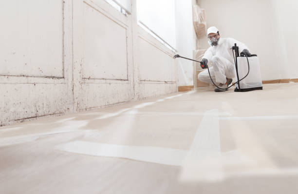 Trusted Mold Removal service in Baldwin, FL - WQB Mold Removal